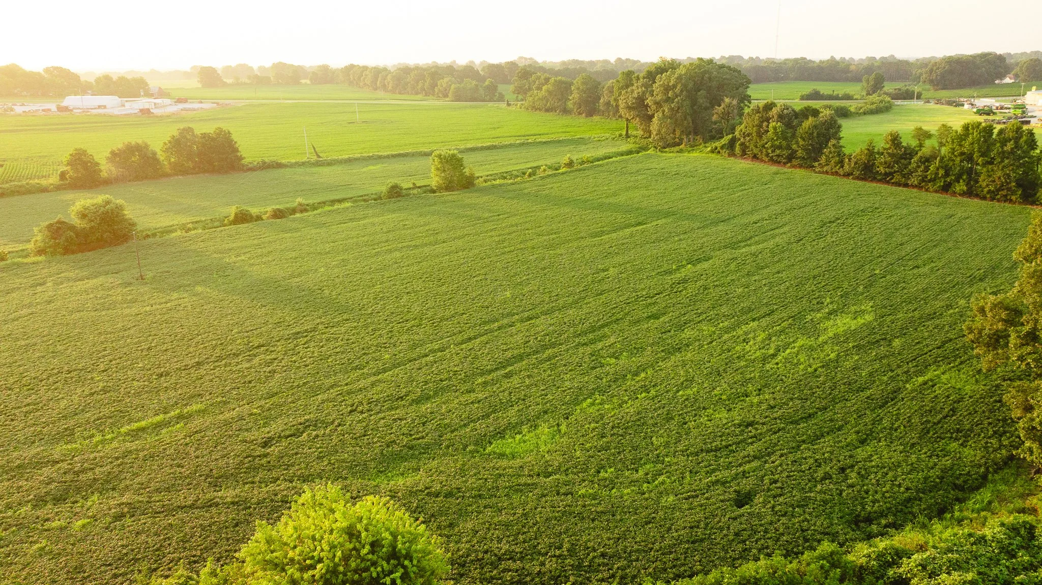 DJI_20260726140048_0040_D.jpg