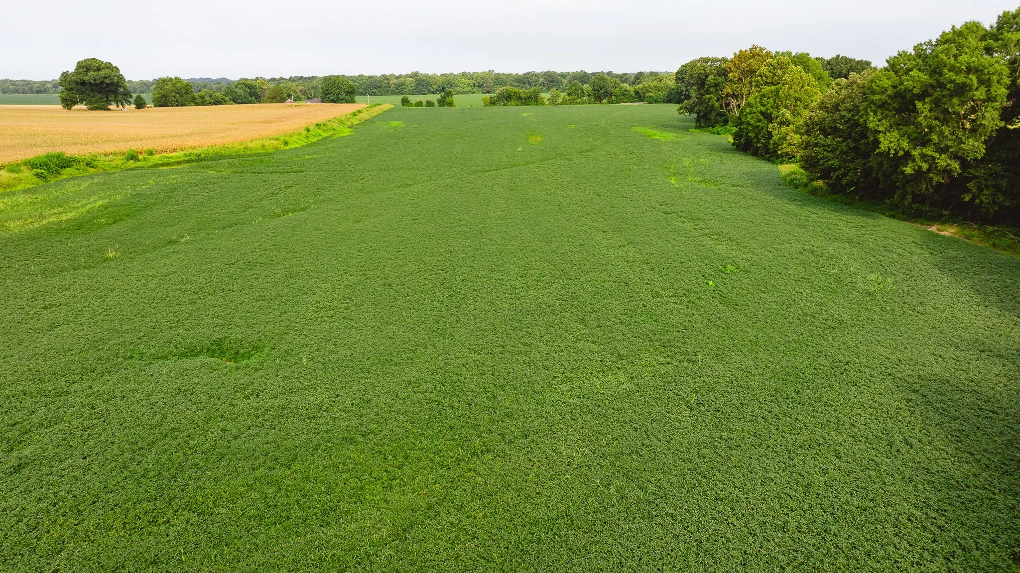 DJI_20260729161145_0093_D.jpg