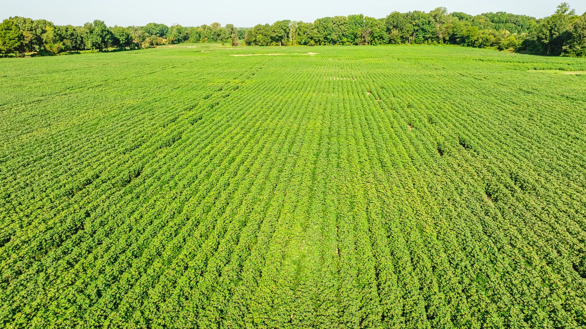 DJI_20260810160840_0053_D.jpg