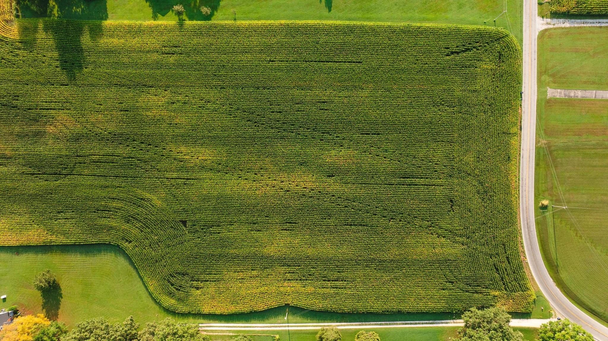 DJI_20260804151534_0053_D.jpg