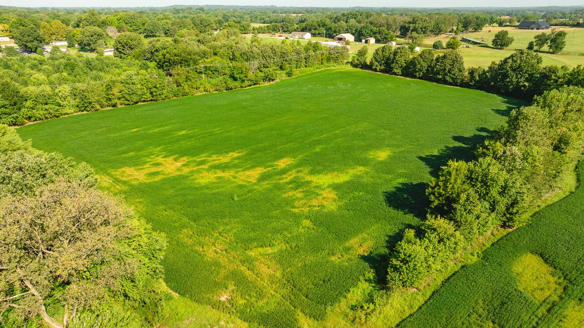 DJI_20260810164051_0082_D.jpg