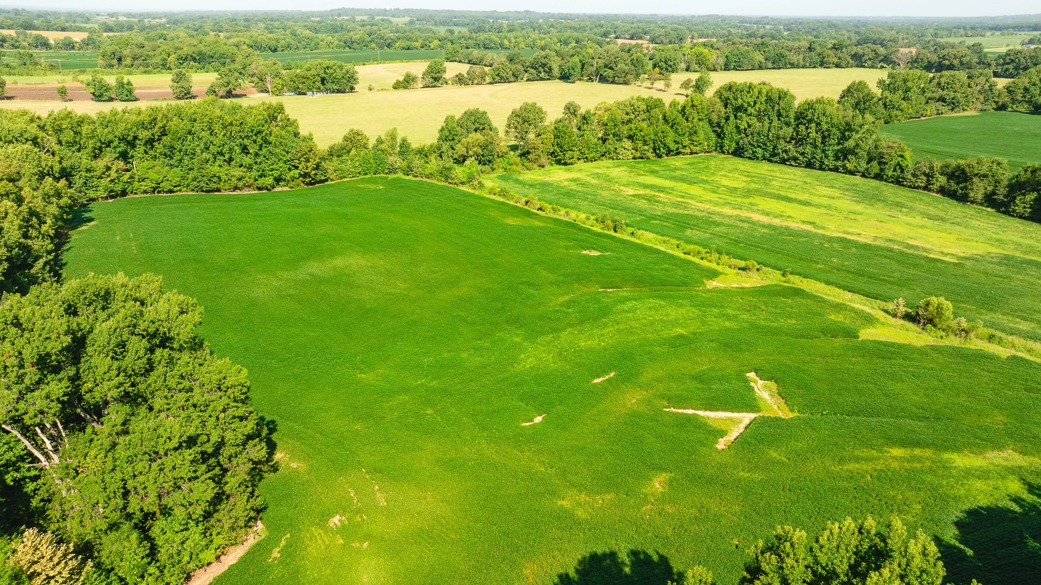 DJI_20260810170643_0098_D.jpg