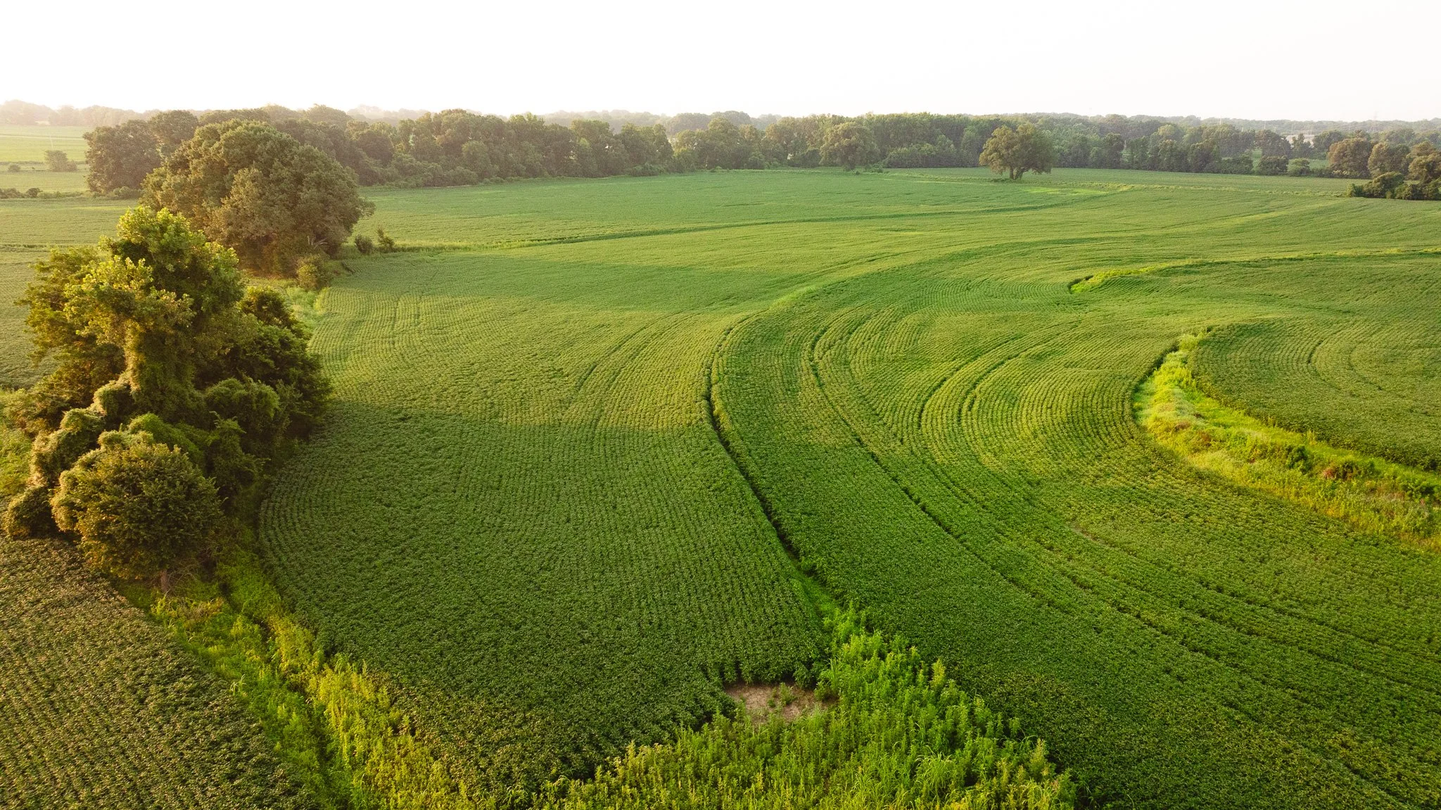 DJI_20260726135528_0028_D.jpg