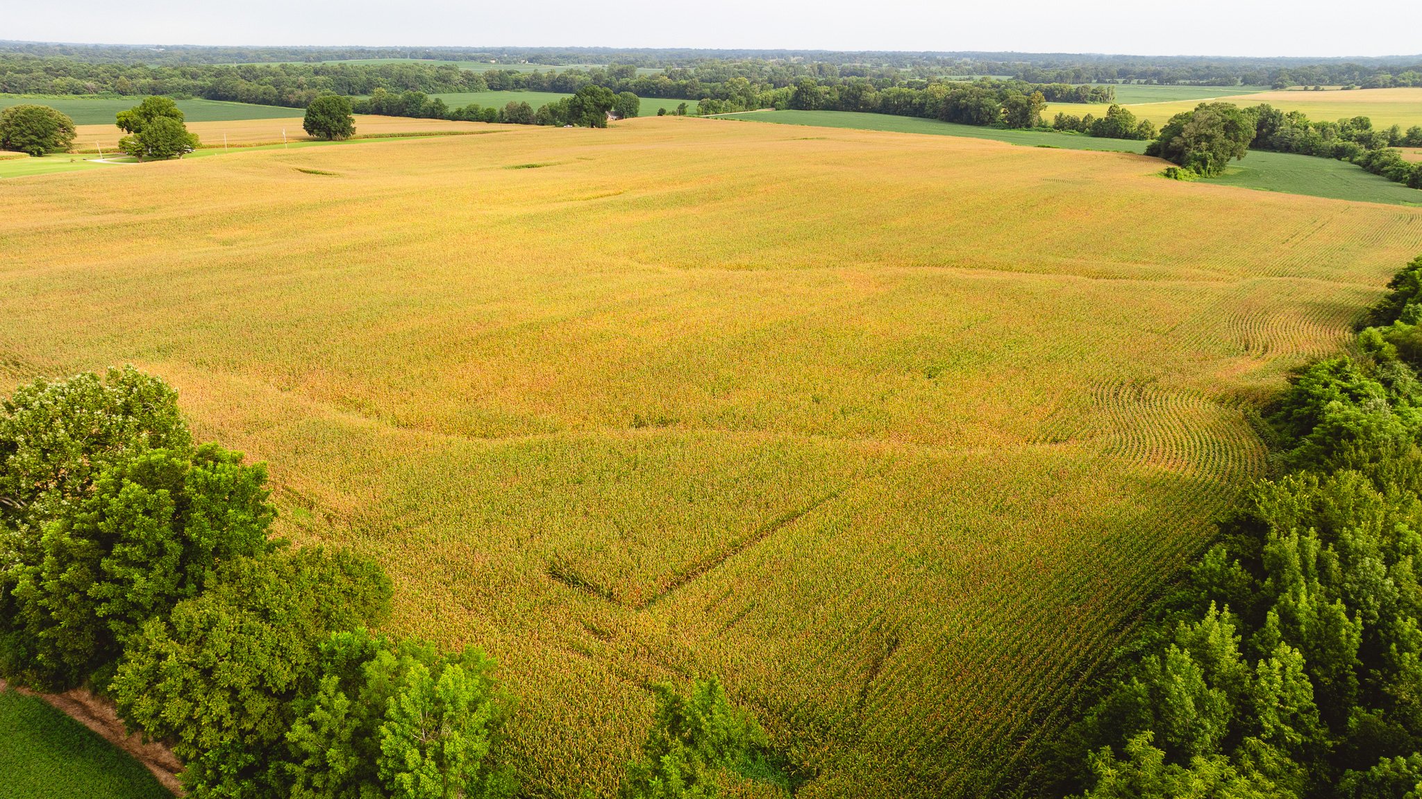 DJI_20260729161044_0089_D.jpg