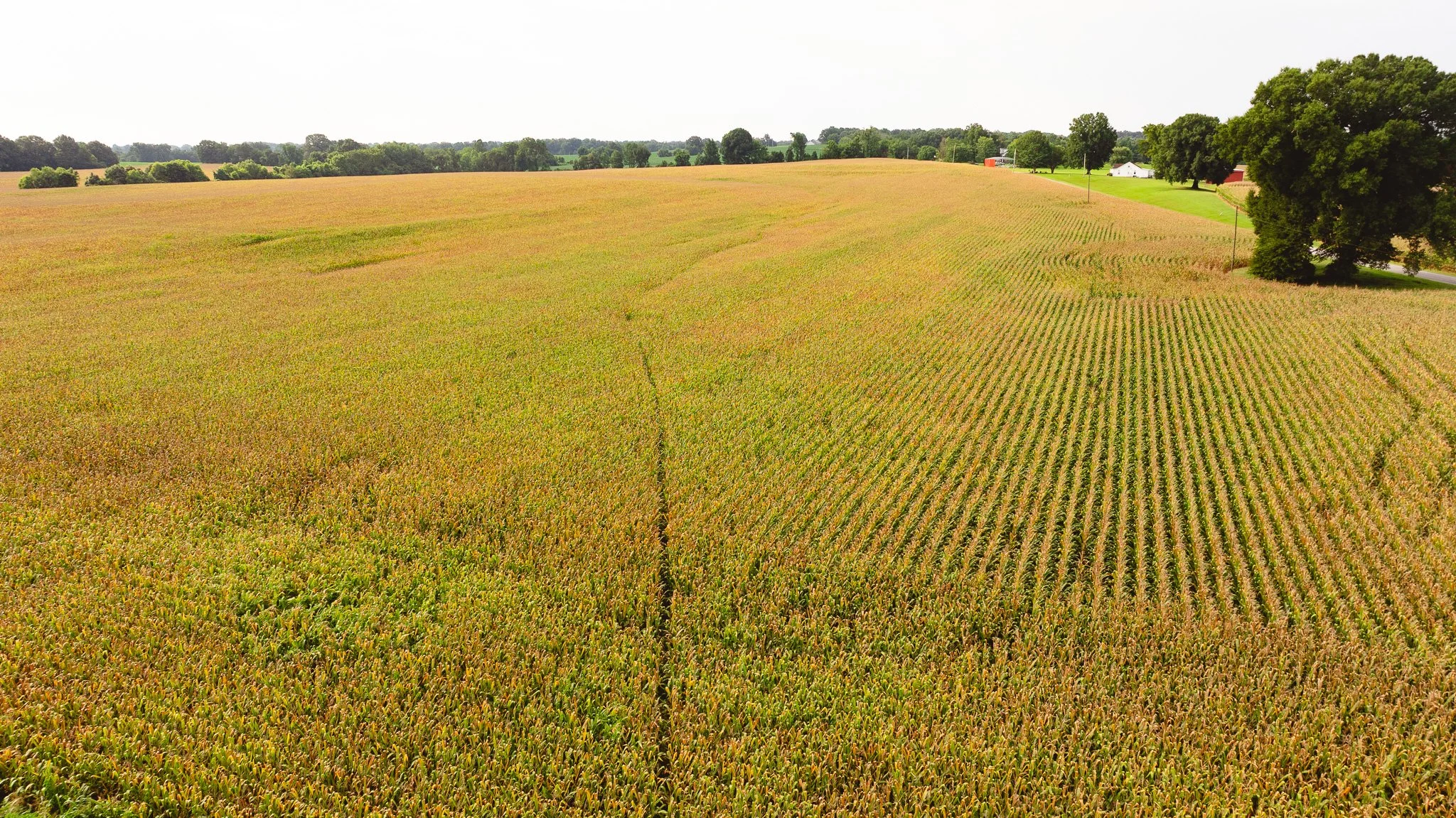 DJI_20260729160928_0085_D.jpg