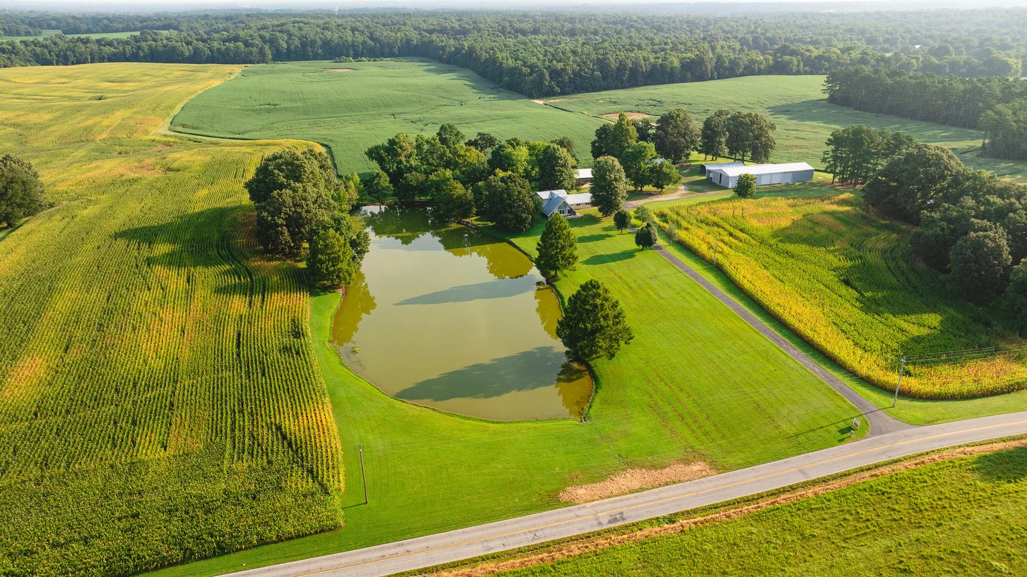 DJI_20260804152424_0079_D.jpg