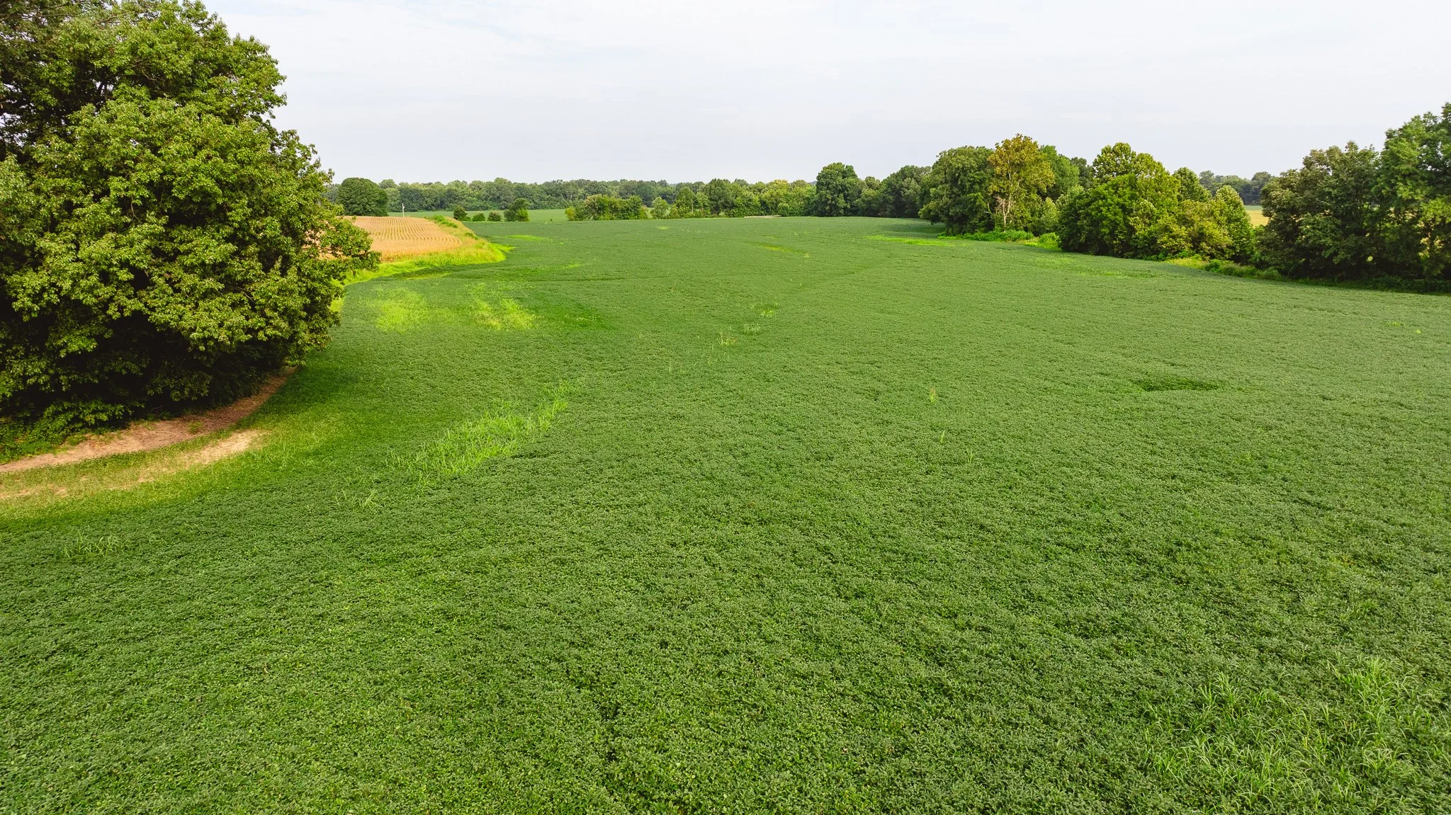 DJI_20260729161134_0092_D.jpg