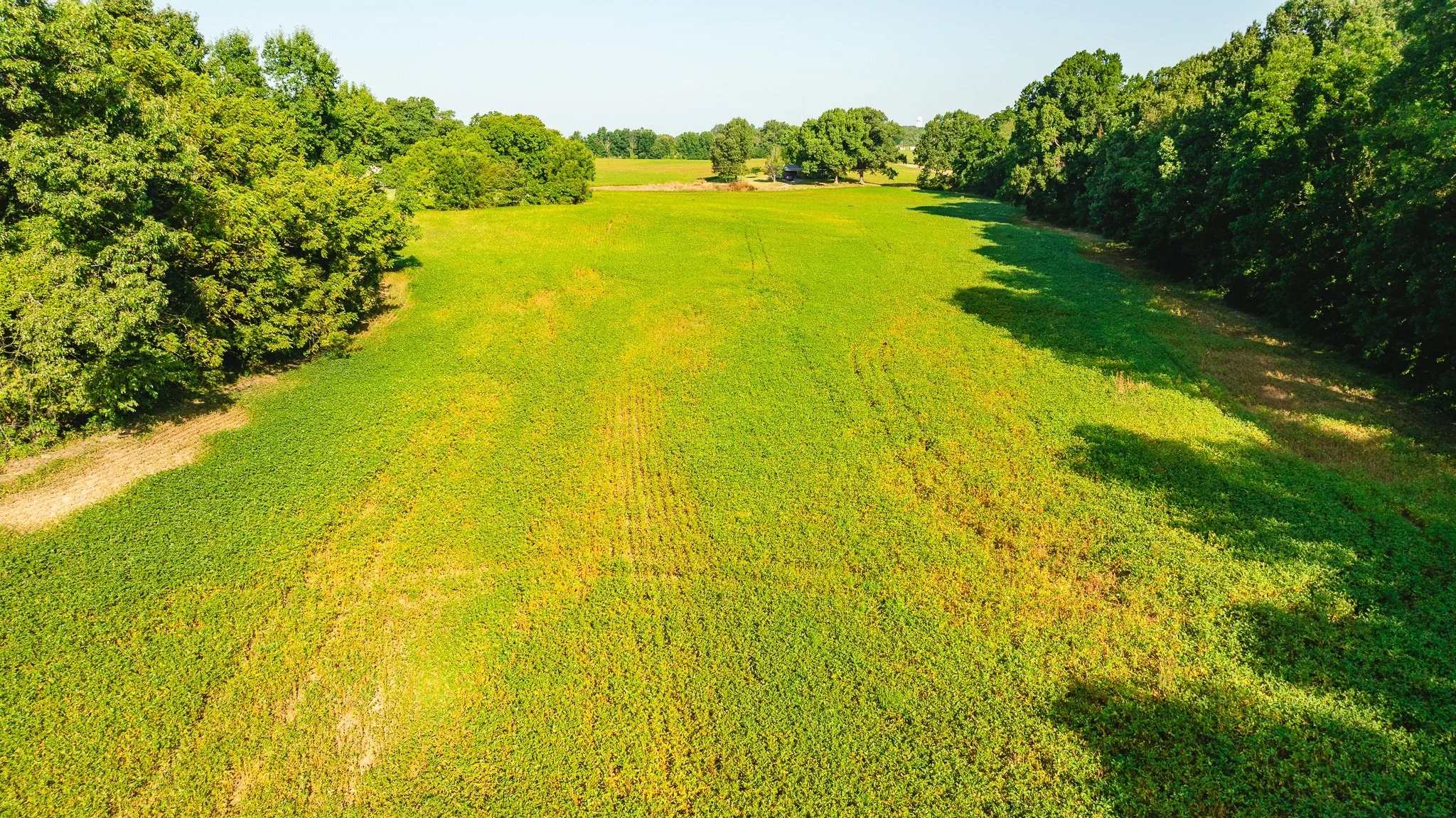 DJI_20260810155828_0046_D.jpg