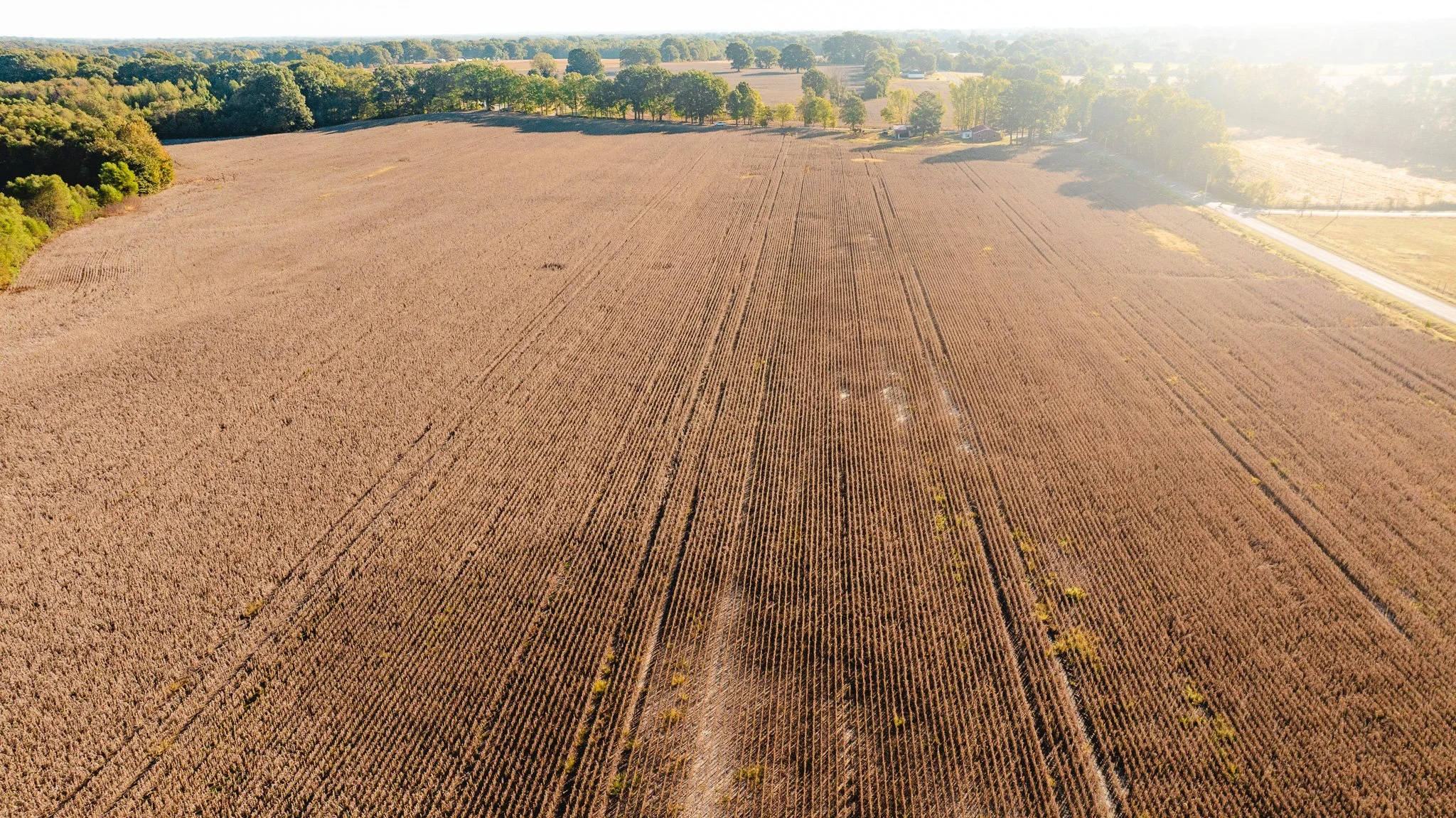 DJI_20261018154805_0014_D.jpg