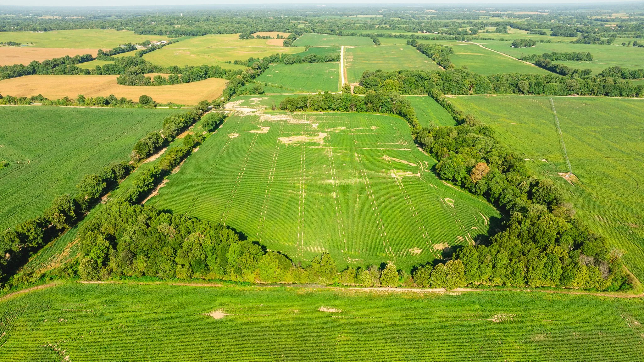 DJI_20260810160756_0051_D.jpg