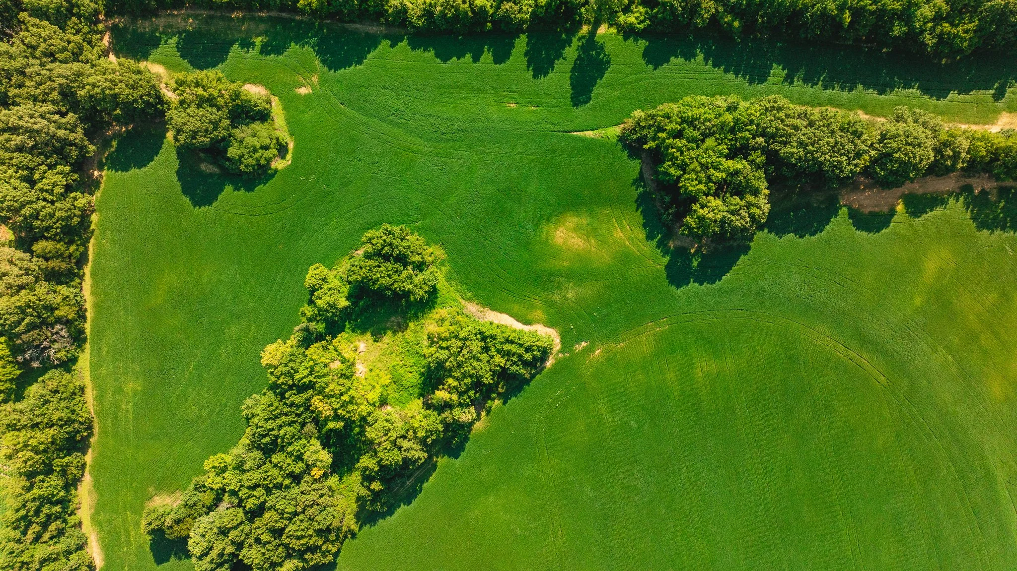 DJI_20260810170513_0094_D.jpg