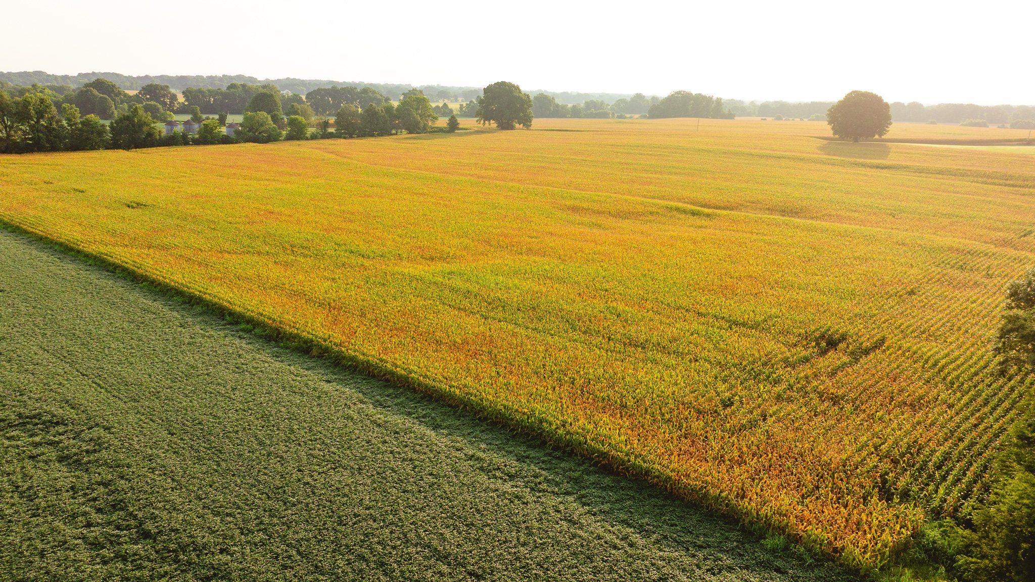 DJI_20260729144513_0074_D.jpg