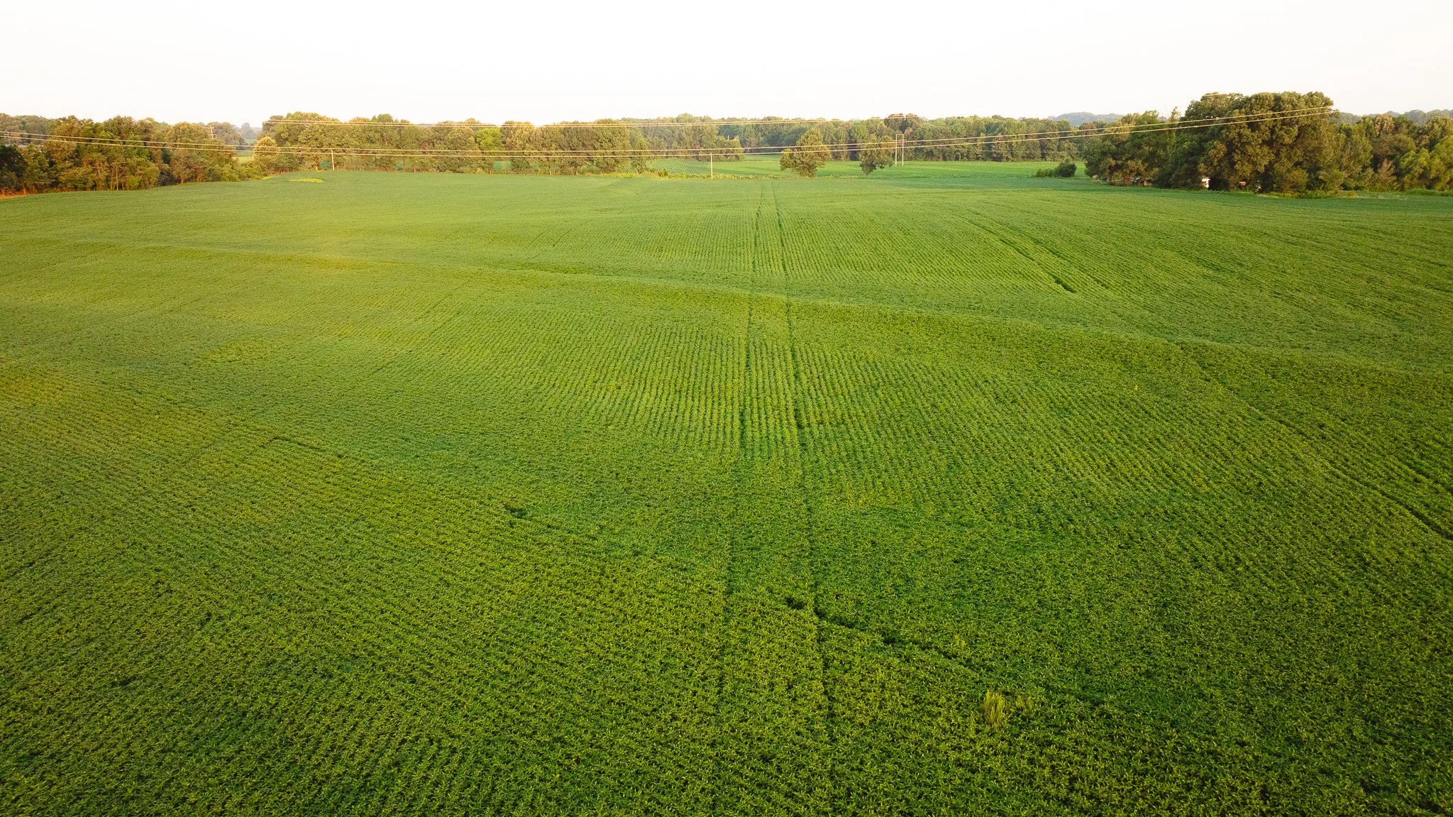 DJI_20260726135546_0029_D.jpg