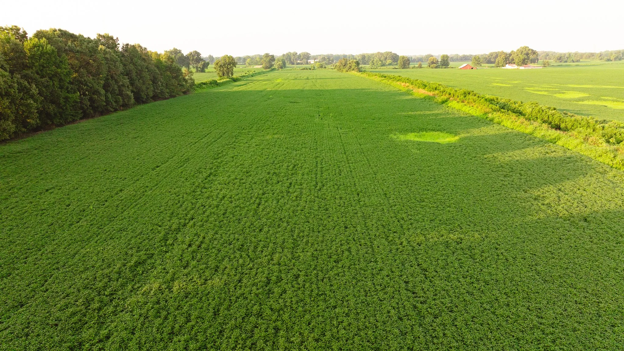 DJI_20260726141855_0077_D.jpg