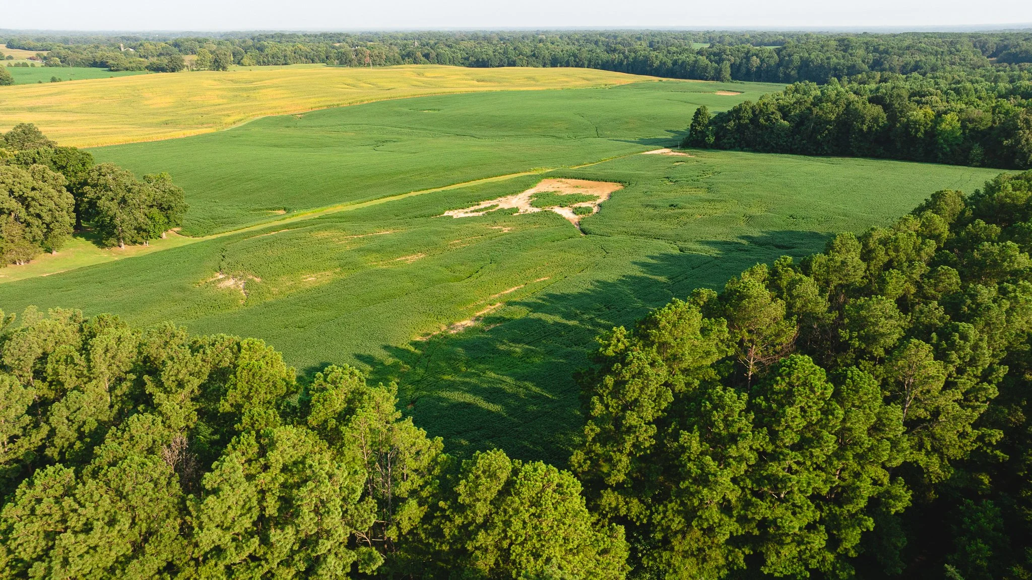 DJI_20260804152122_0070_D.jpg