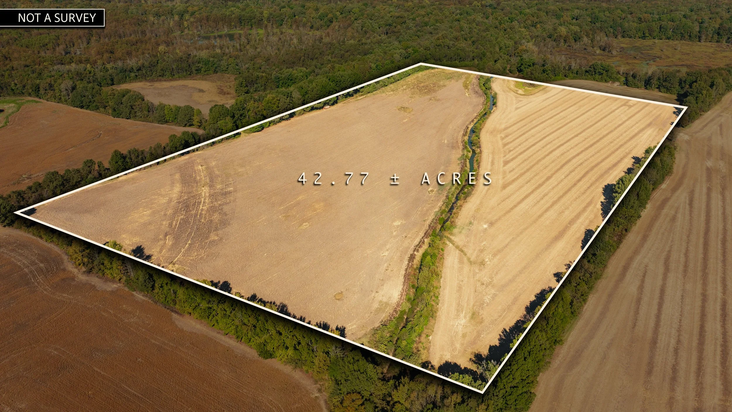 Ellington-NorthTract.jpg