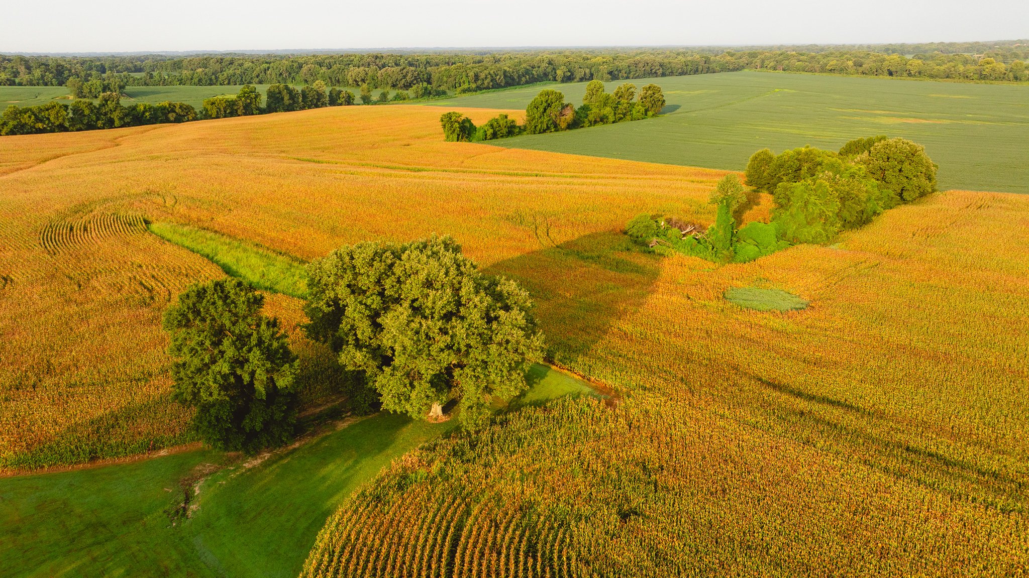 DJI_20260729143159_0035_D.jpg