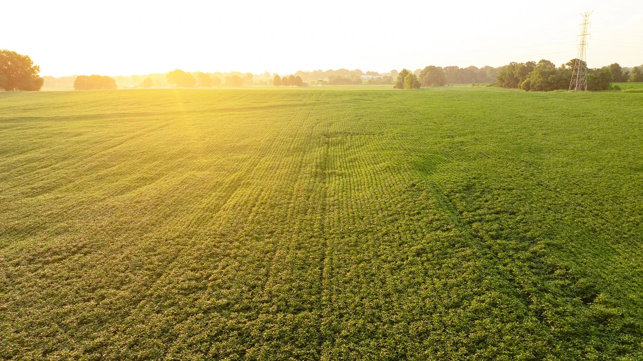 DJI_20260726135824_0034_D.jpg