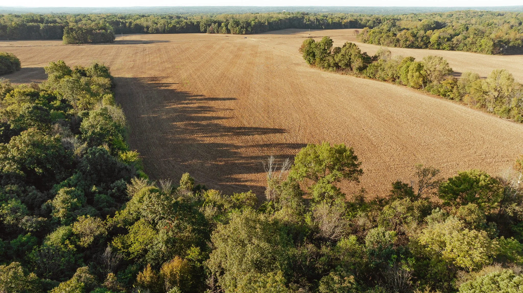 DJI_20261007151021_0027_D.jpg