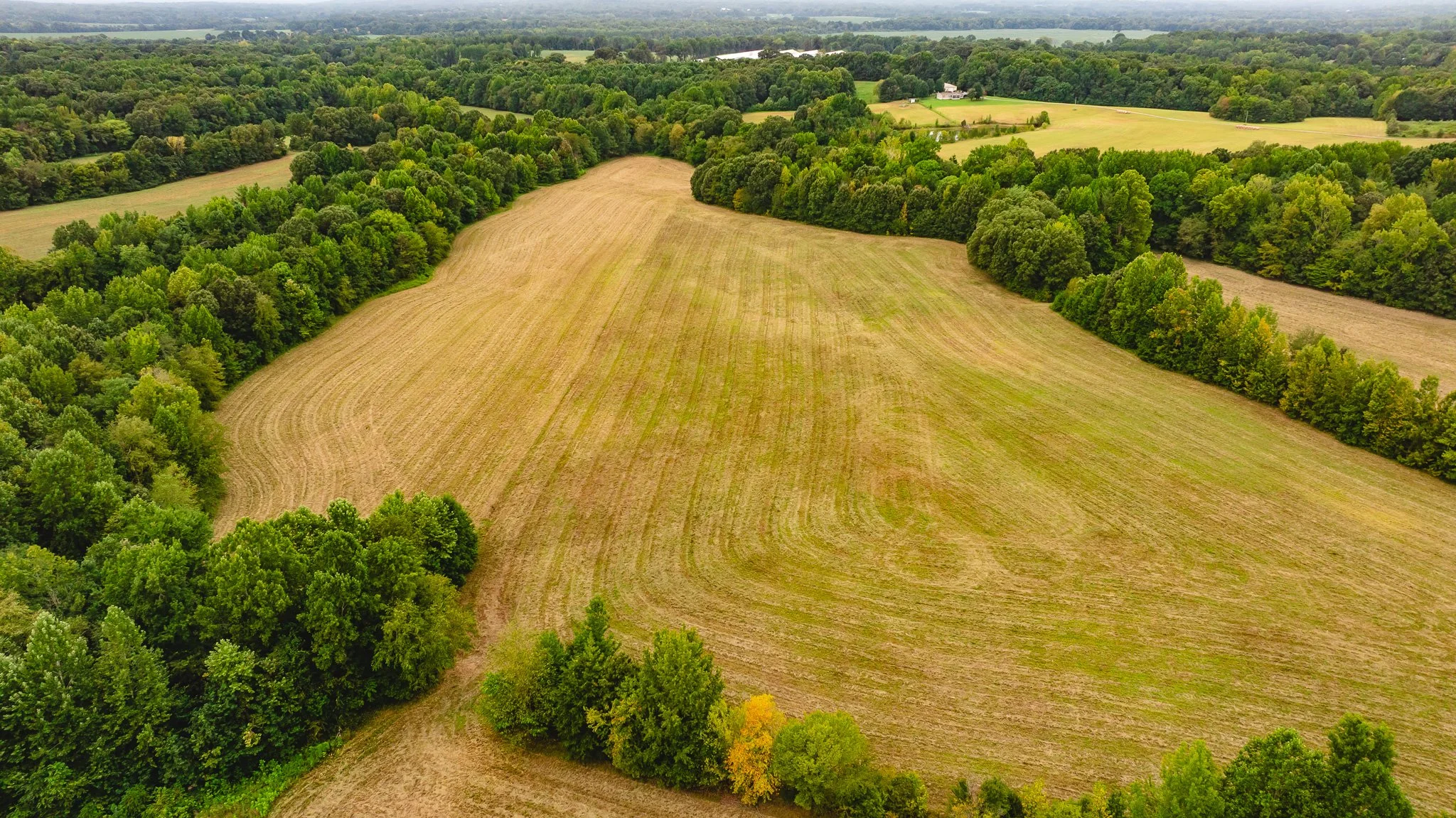 DJI_20260817171750_0015_D.jpg