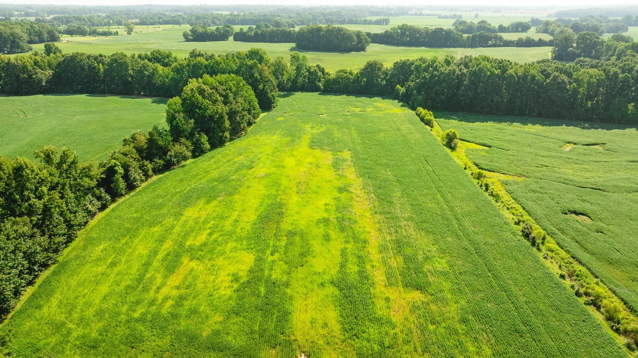 DJI_20260810170714_0100_D.jpg
