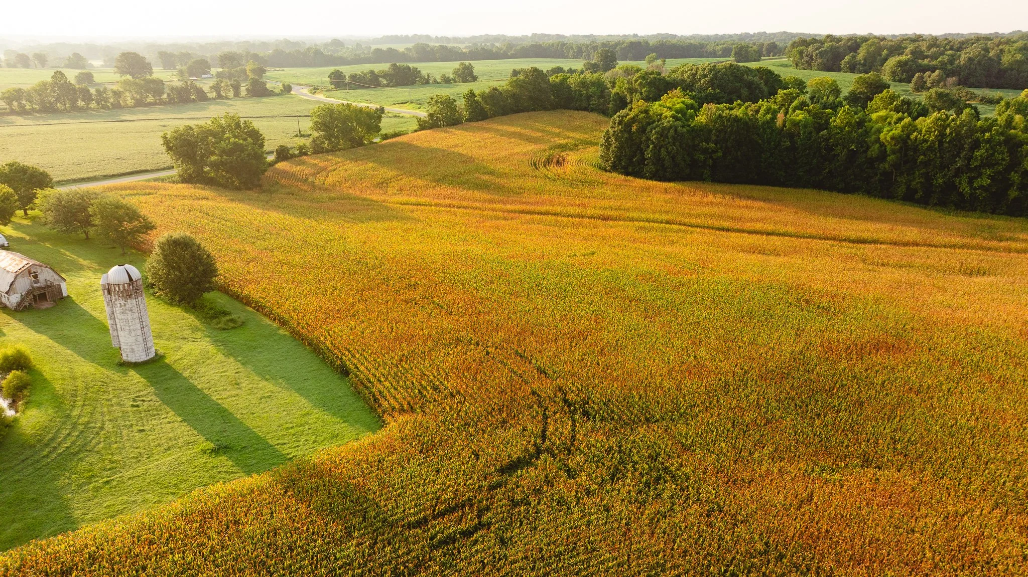 DJI_20260729143229_0037_D.jpg