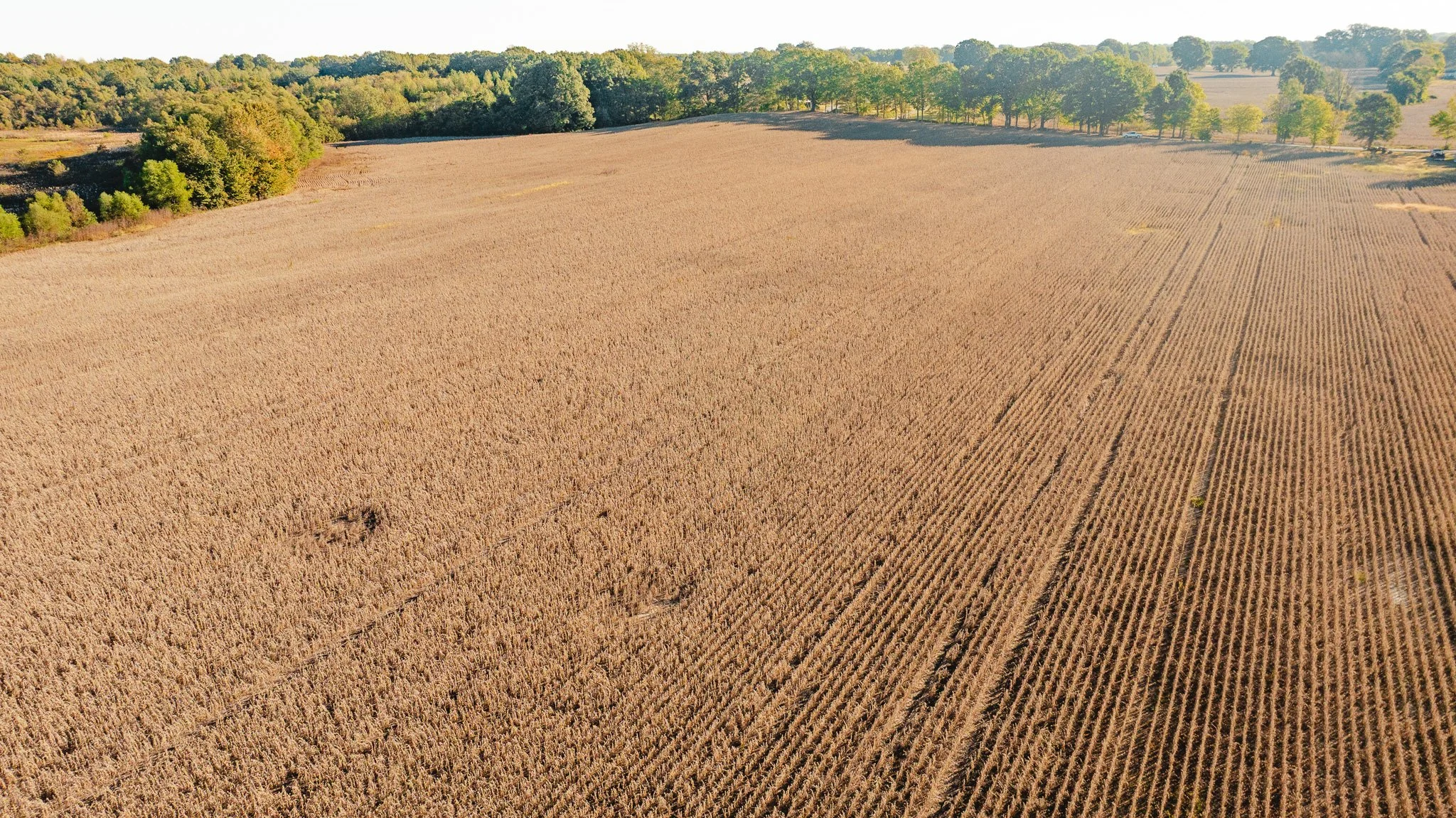 DJI_20261018154823_0015_D.jpg