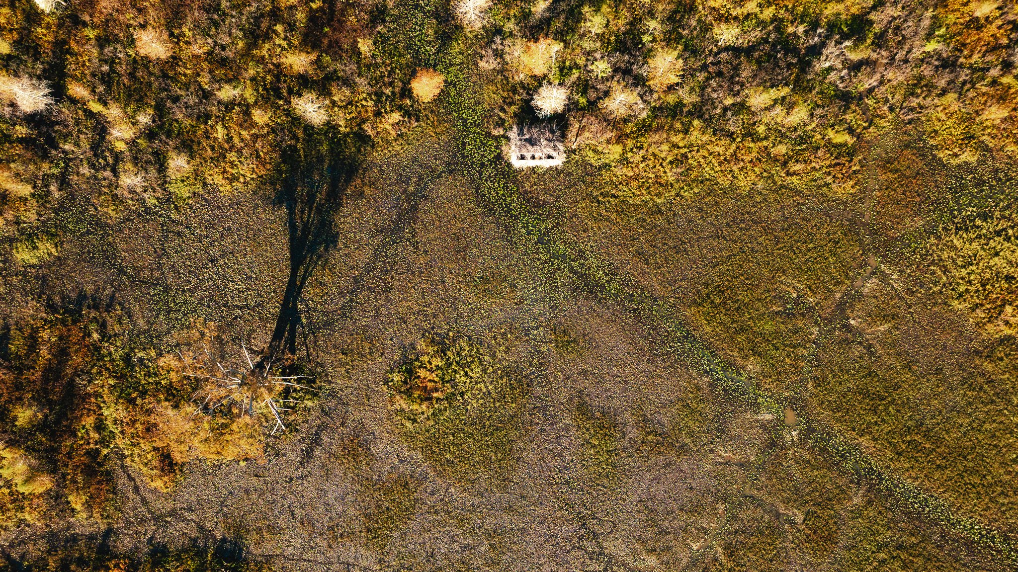 DJI_20261018154325_0006_D.jpg