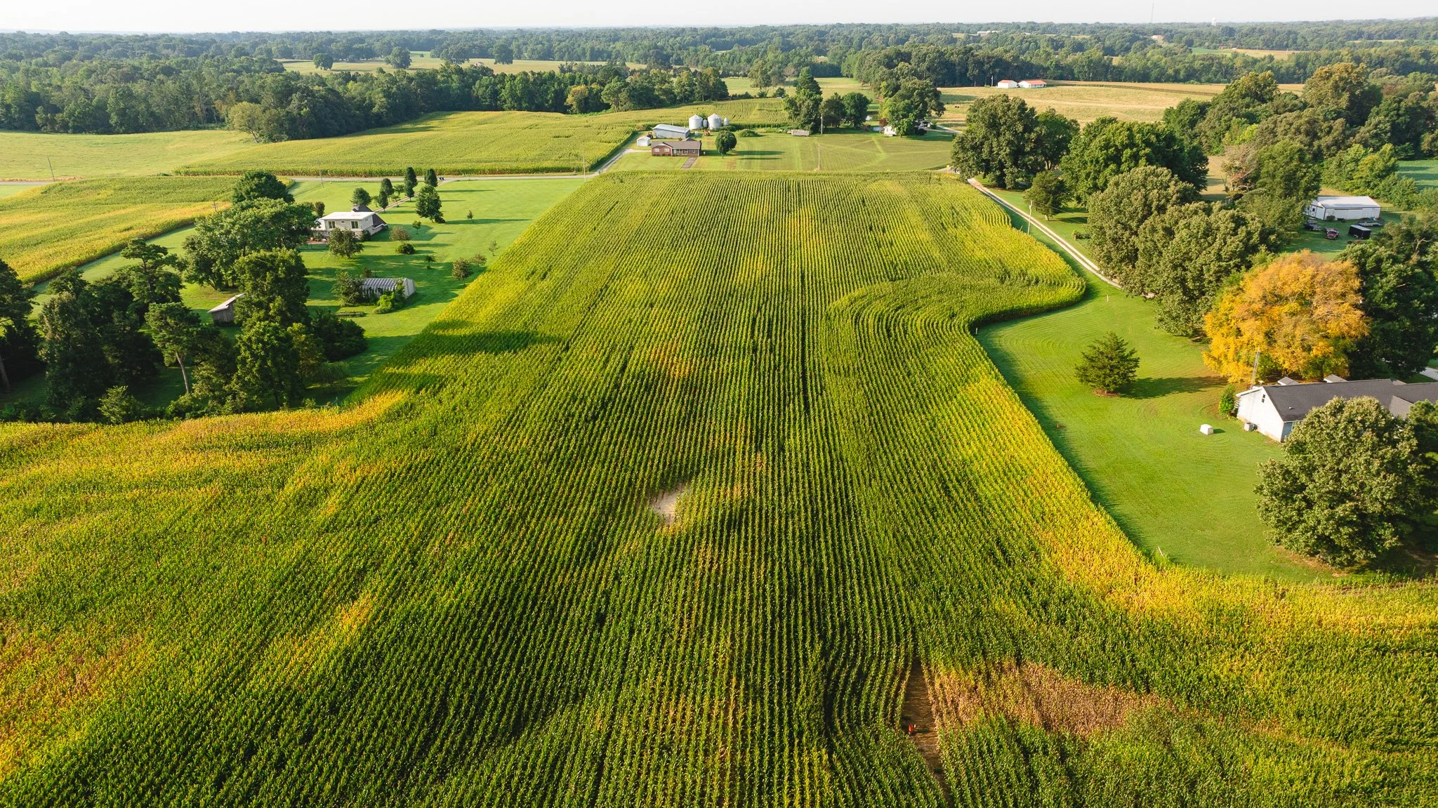 DJI_20260804151446_0050_D.jpg