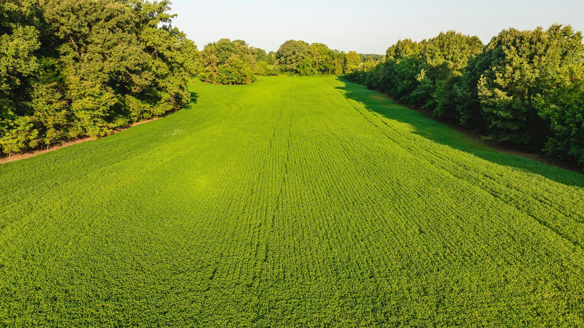 DJI_20260810150543_0019_D.jpg