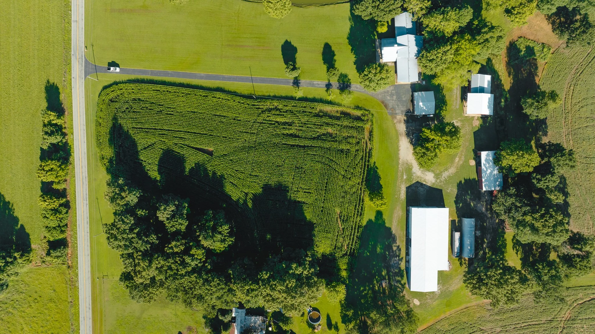 DJI_20260621153101_0051_D.jpg