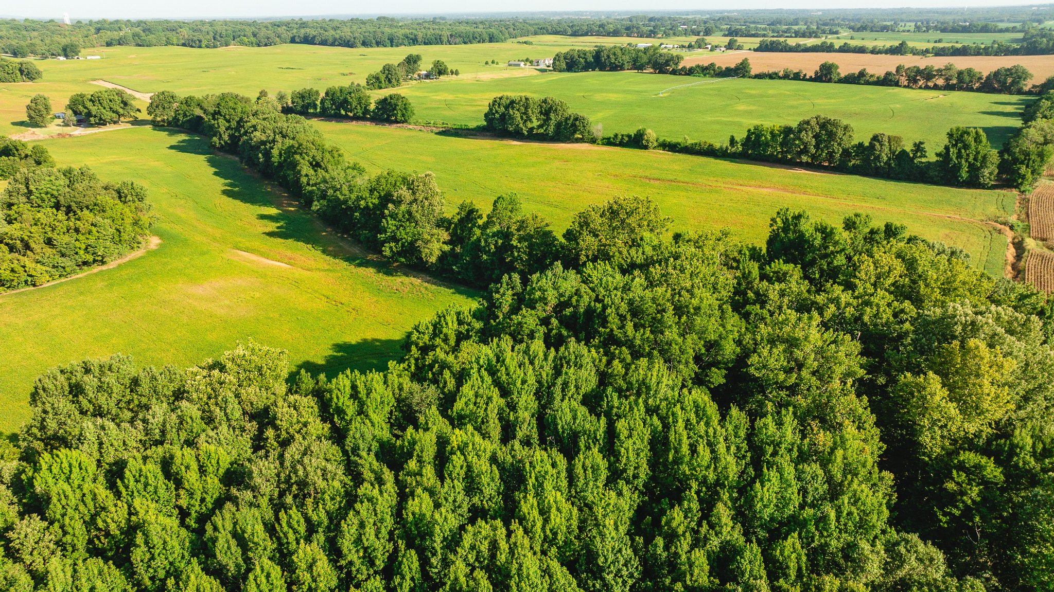 DJI_20260810155700_0043_D.jpg