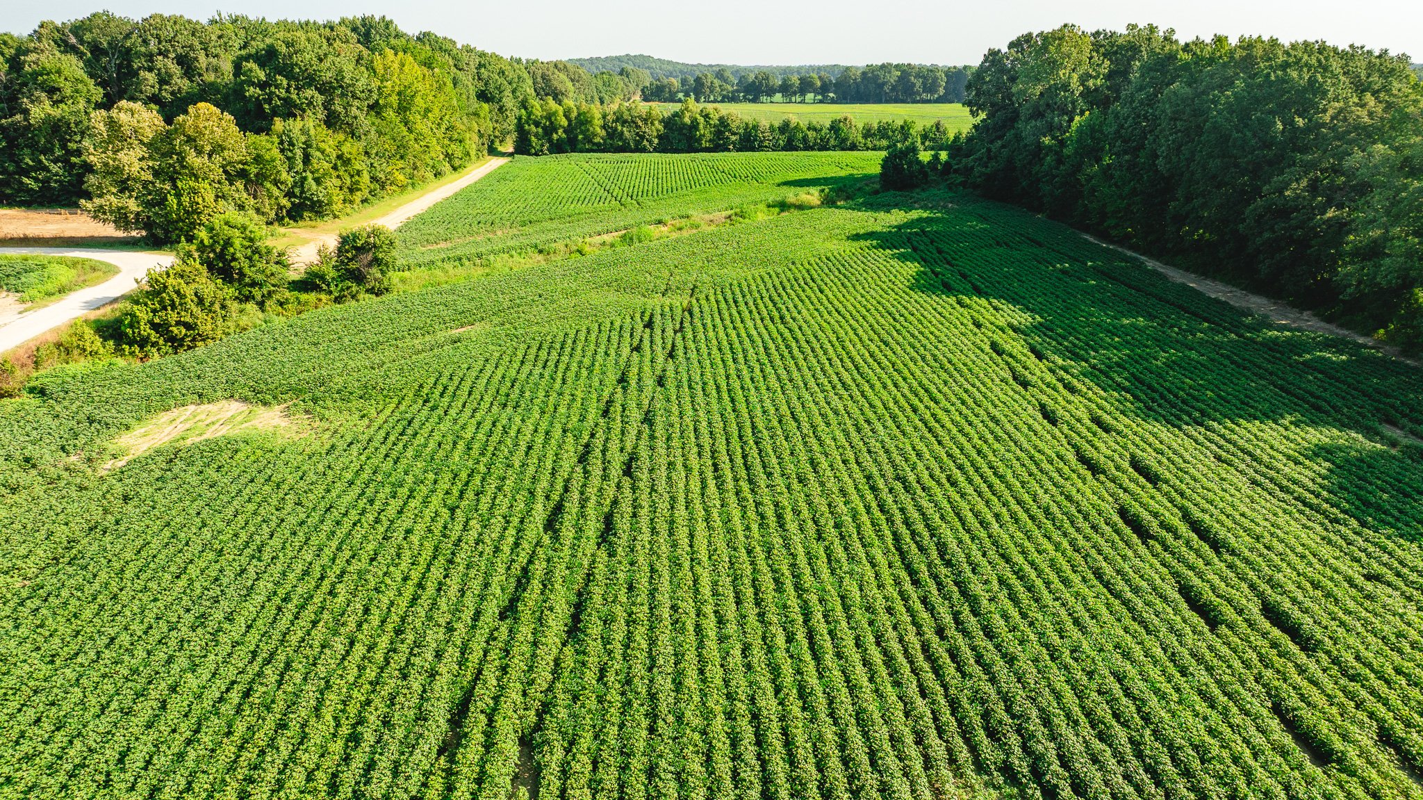 DJI_20260810161051_0056_D.jpg