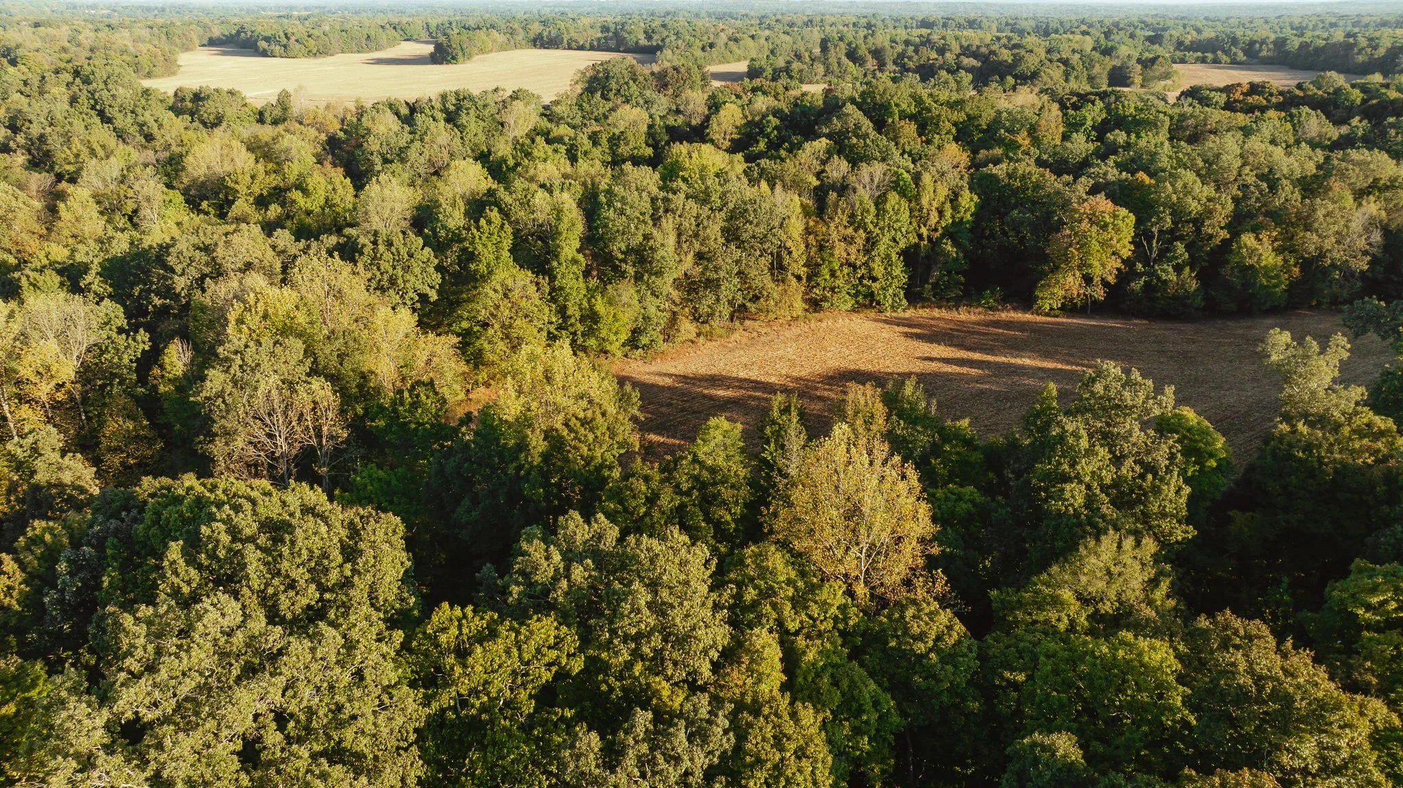 DJI_20261007150728_0017_D.jpg