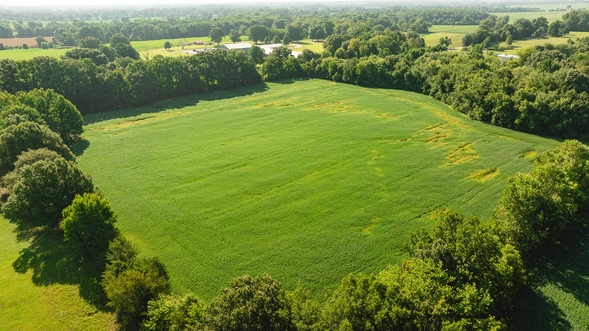 DJI_20260810164203_0085_D.jpg