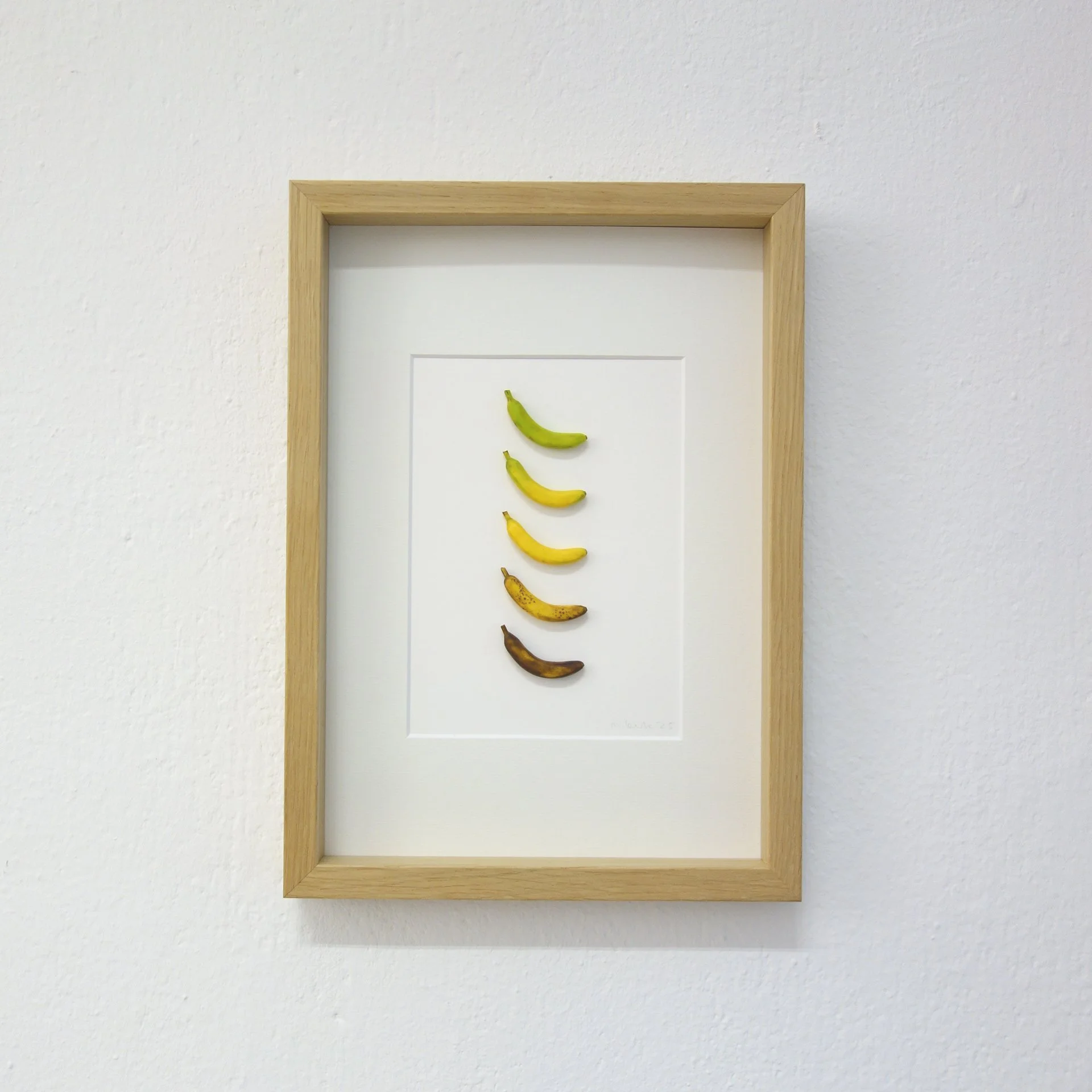 Gerahmtes Kunstwerk mit aufgereihten Bananen in verschiedenen Reifestadien, von grün über gelb bis braun, an weißem Hintergrund.