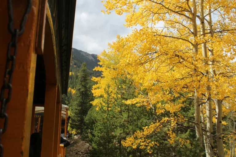 Georgetown Loop Railroad - Fall Colors Train