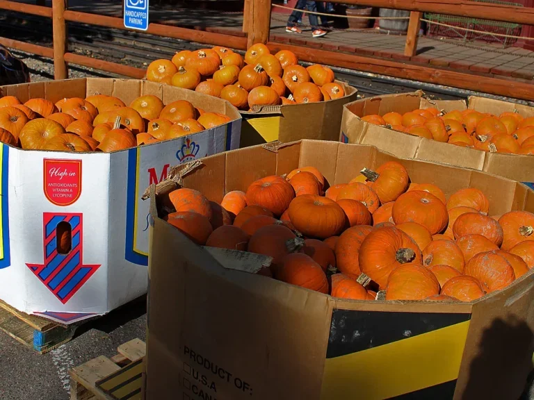 Georgetown Loop Railroad - Pumpkinfest