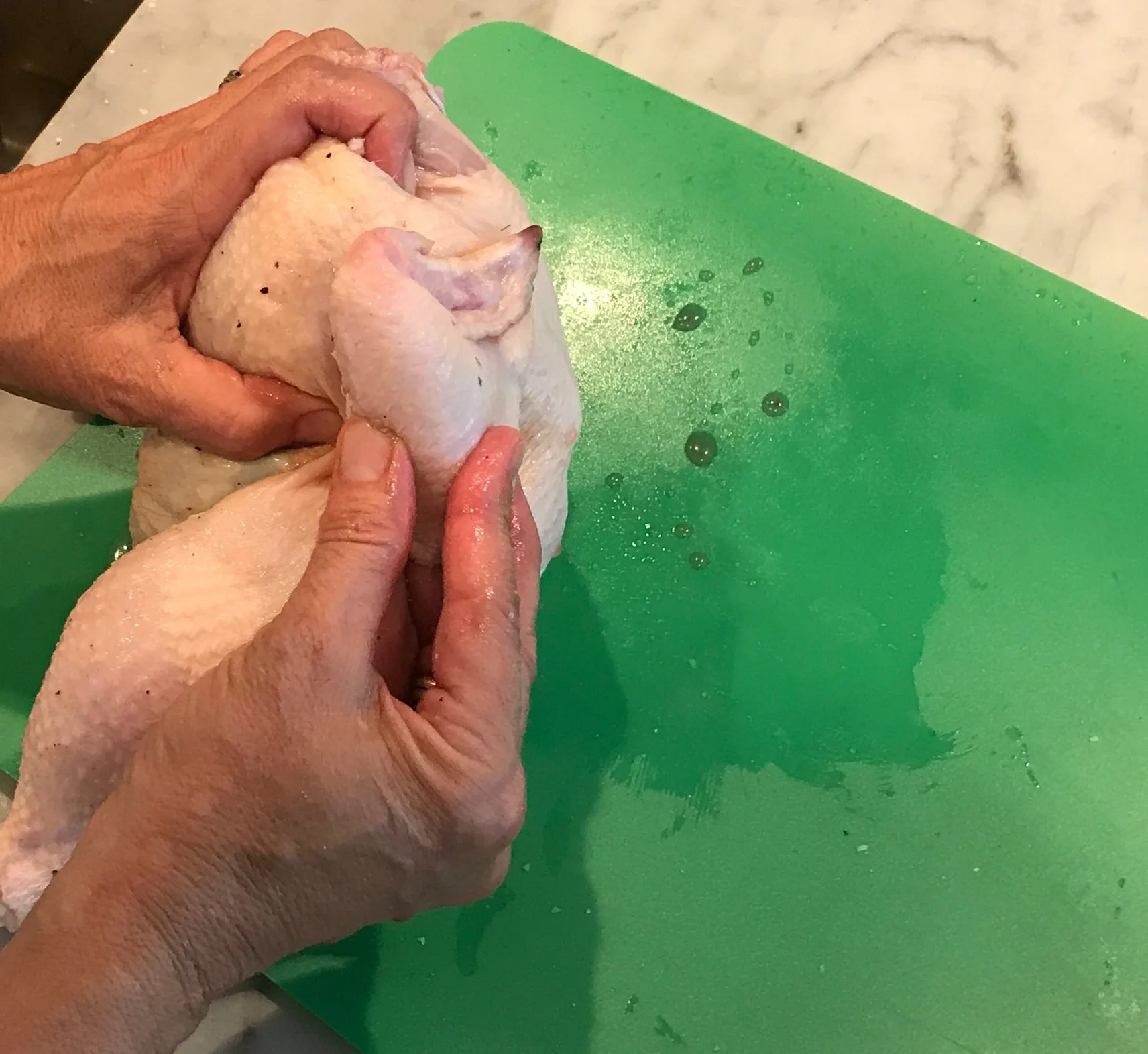 chix6.jpg