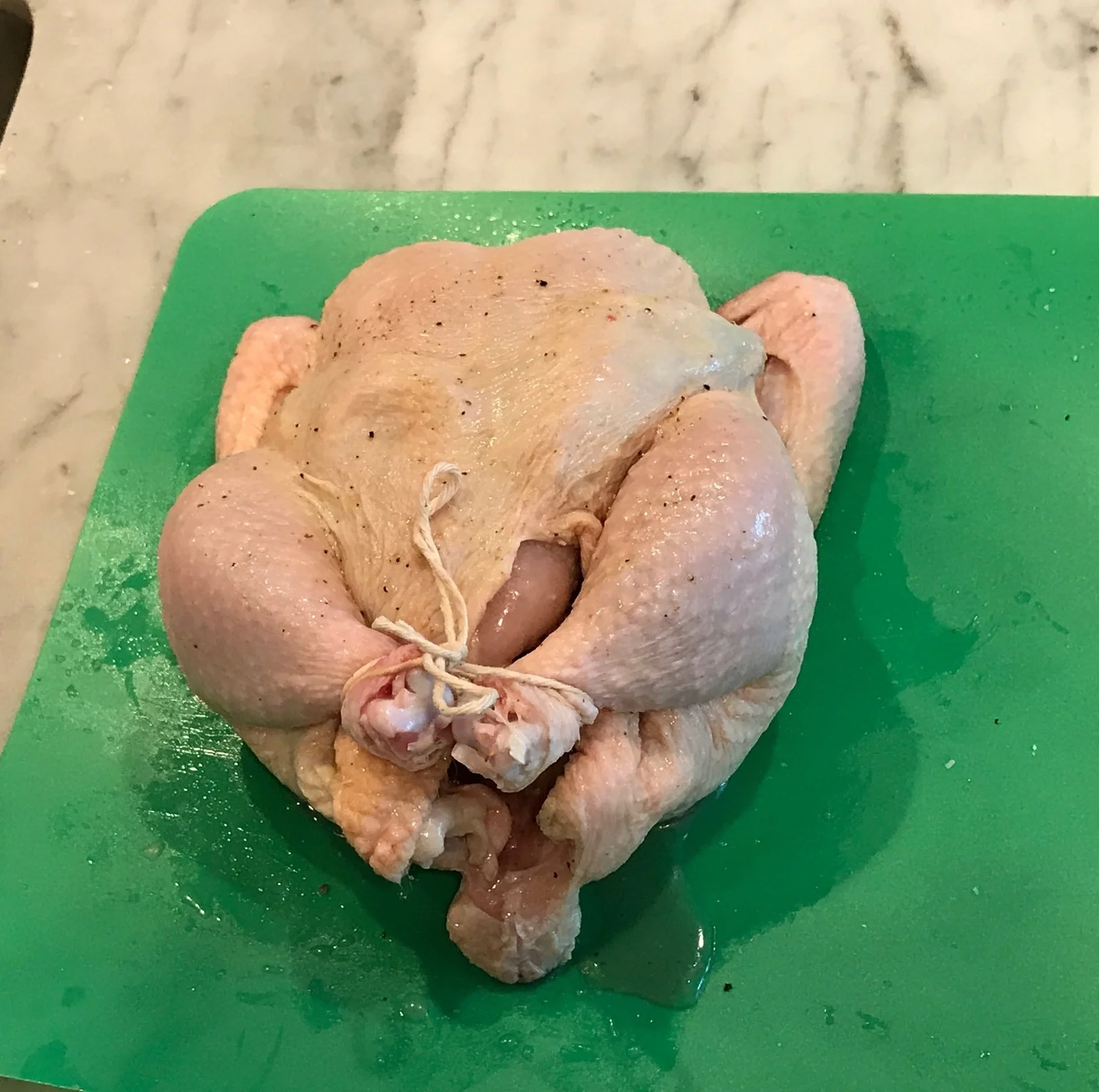 chix7e.jpg