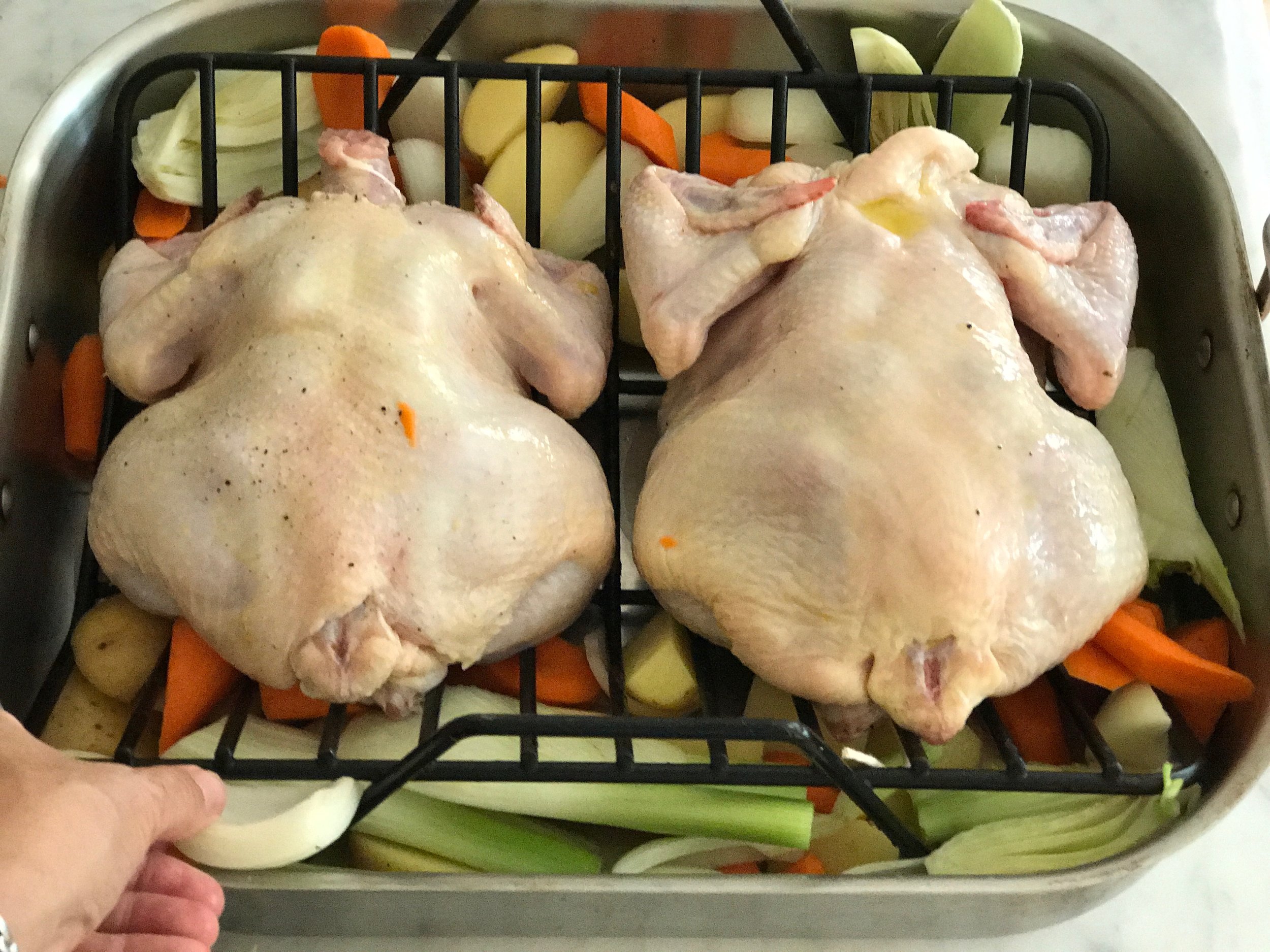 chix8jpg.jpg