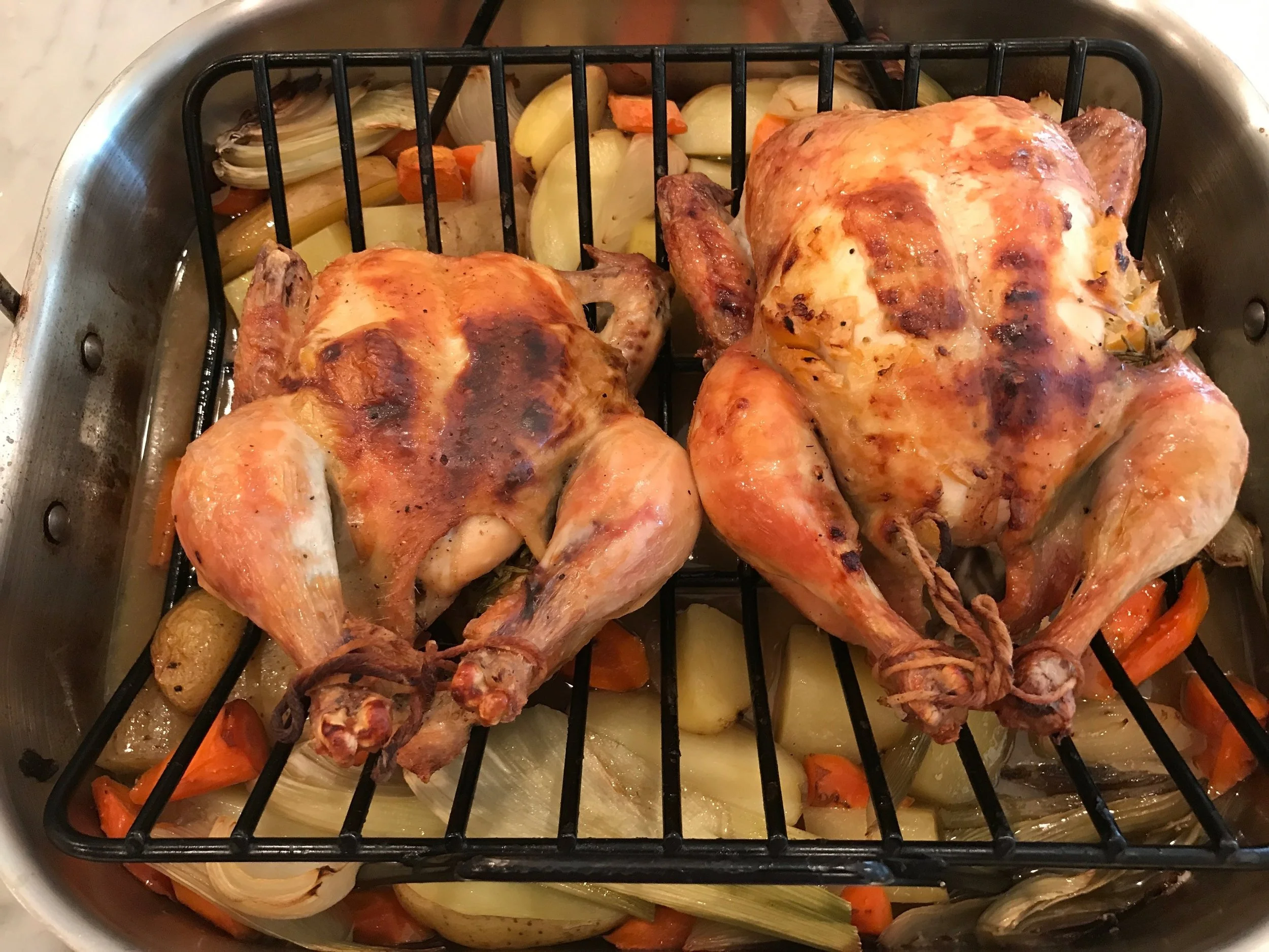 chix10.jpg