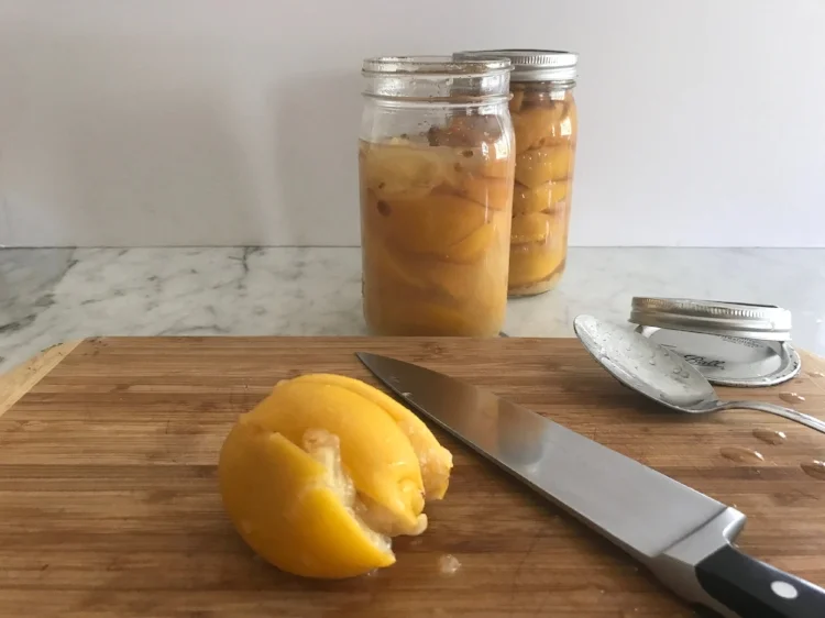 lemons cover.jpg