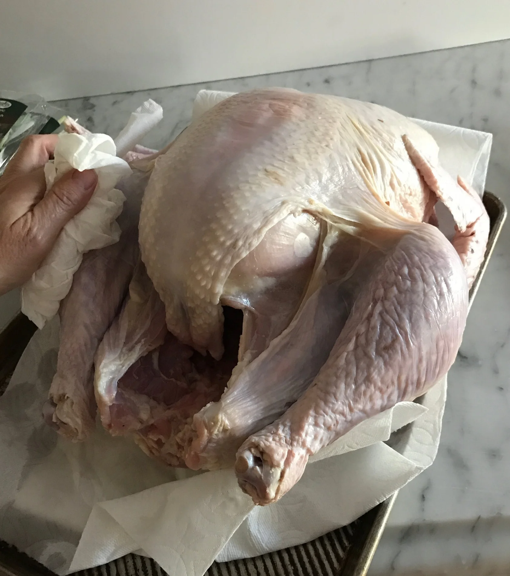 turkey3.jpg