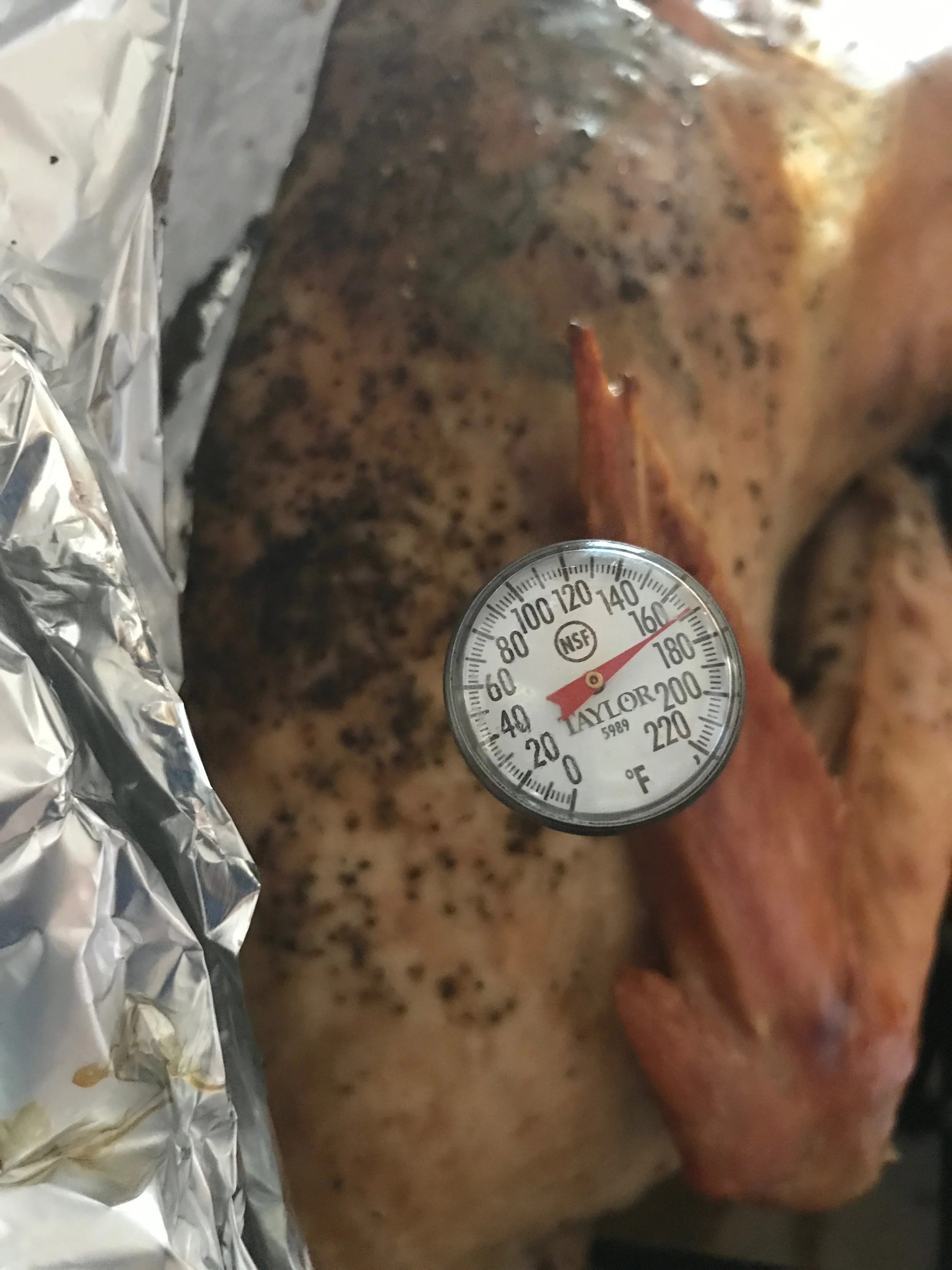 turkey11.jpg