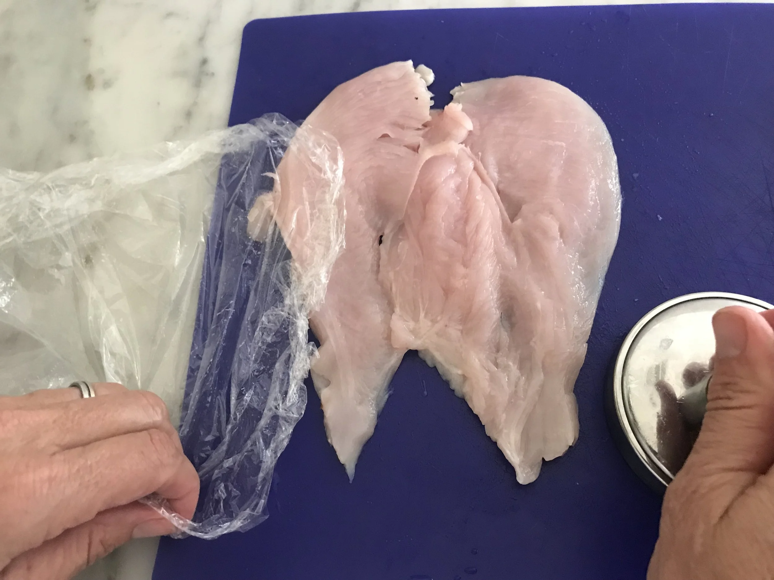 chix6a.jpg
