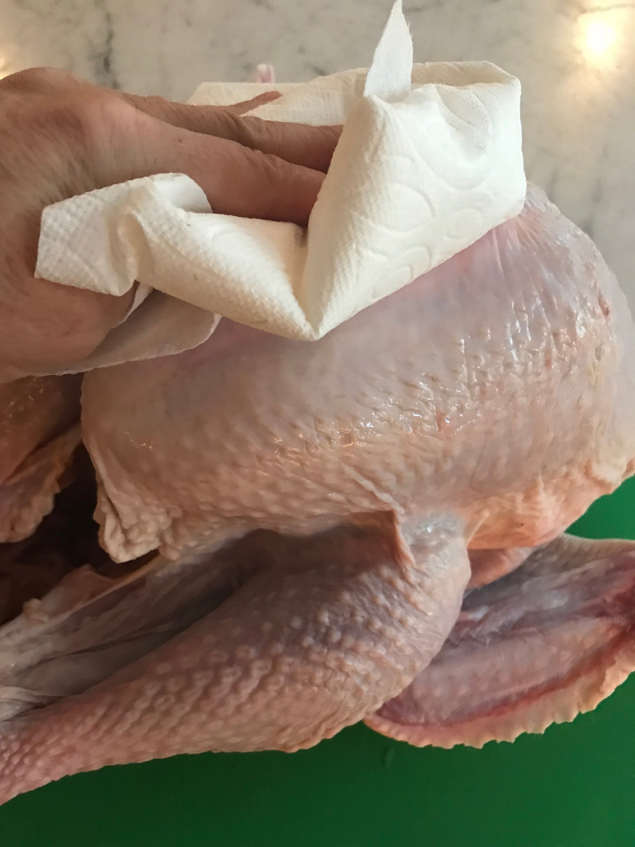 turkey1:2.jpg