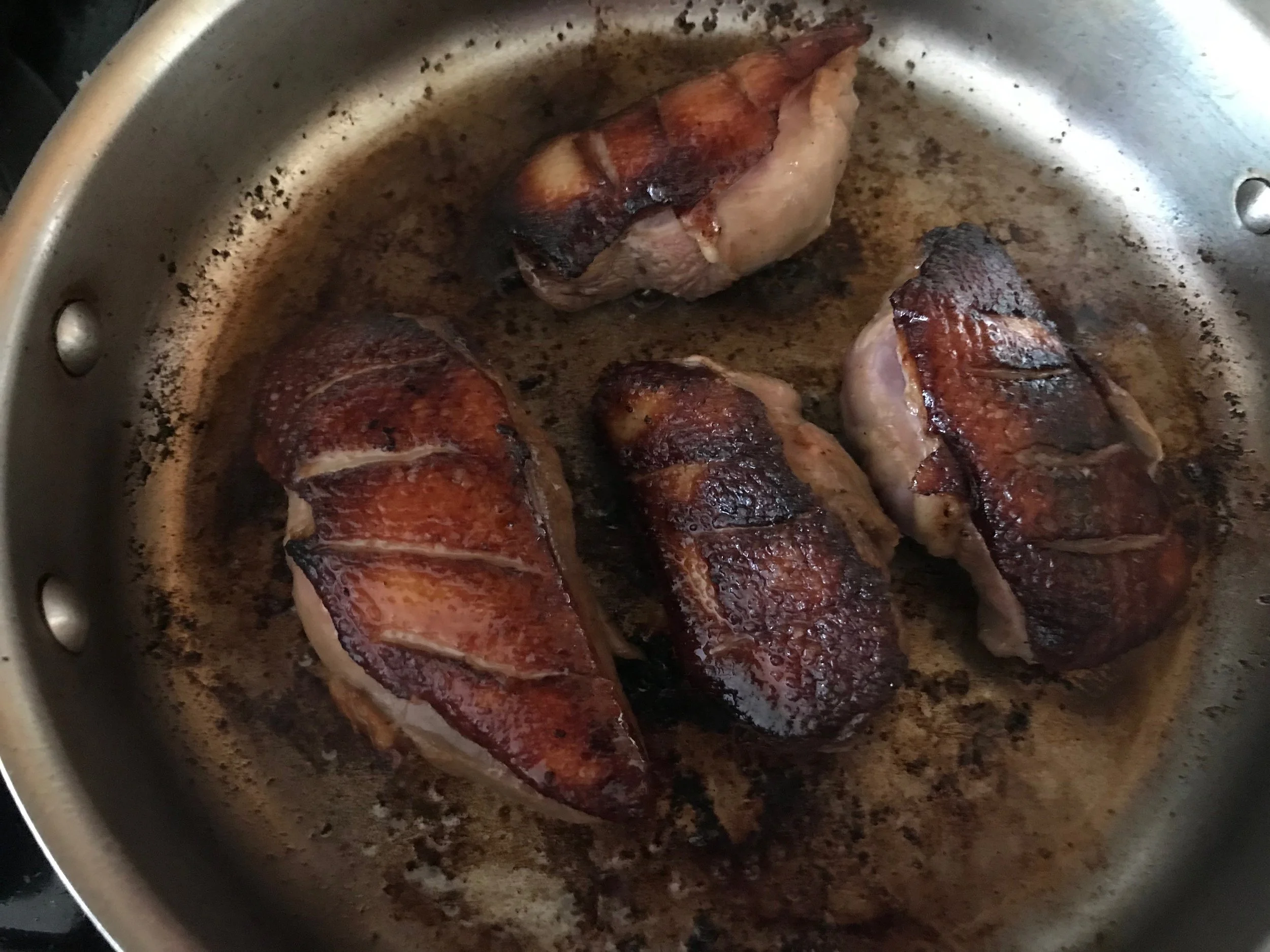 duck11.jpg
