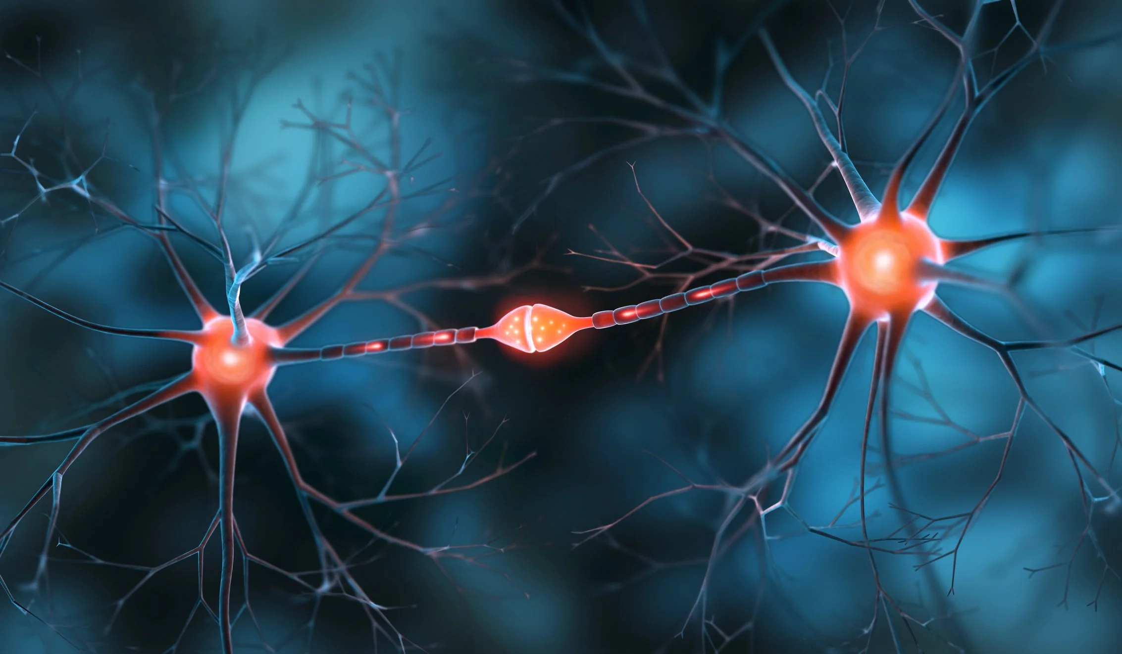 Image of neurons from the brain connecting representing Neuroplasticity