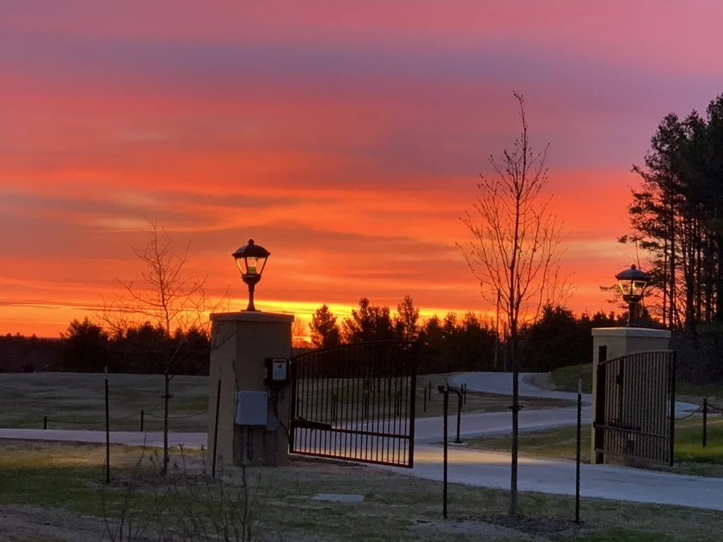 A sunset sky with colorful orange, pink, and purple hues over a landscape of trees, a gated entrance with stone pillars, and two lampposts.
